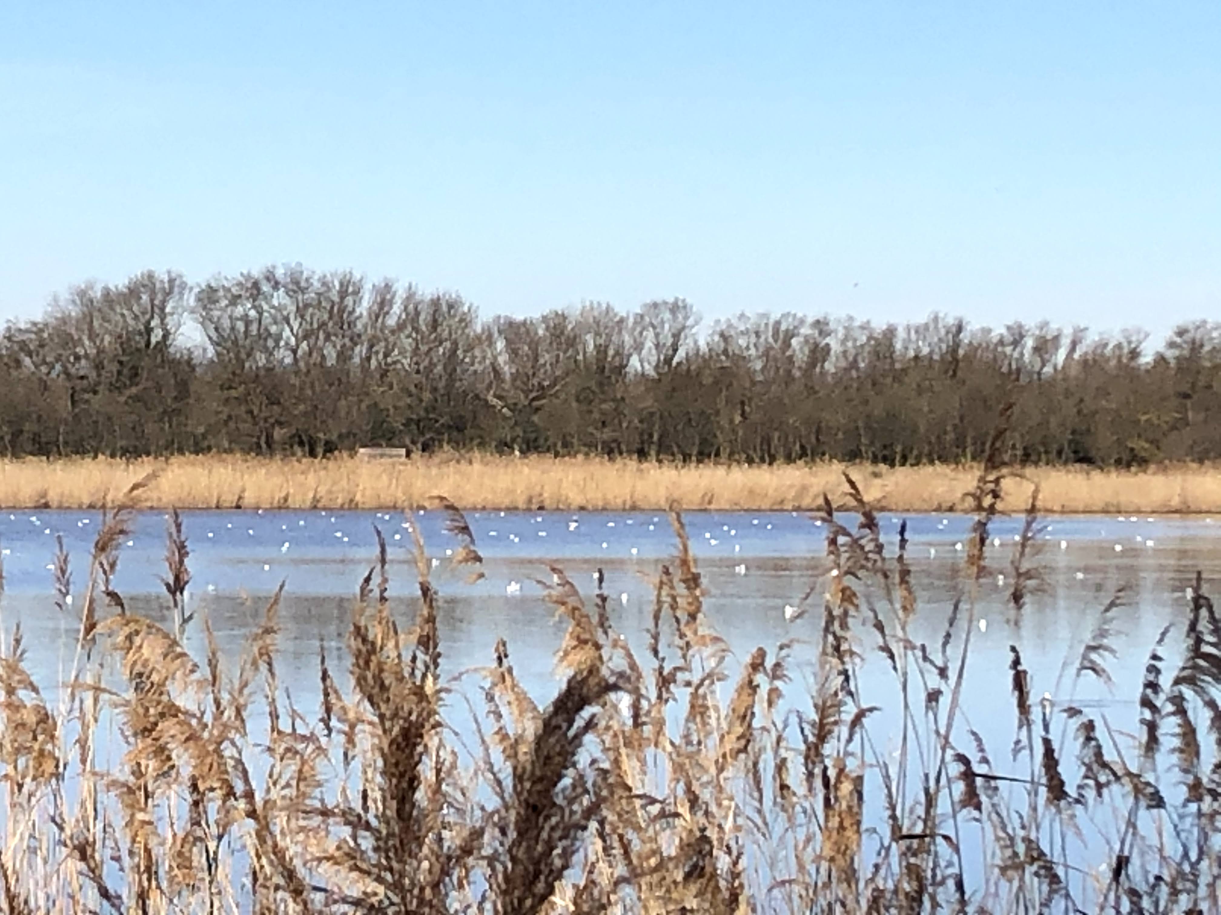 Photo n° 5 de l'avis de ARNO.4 fait le 23/02/2020 à 12:40