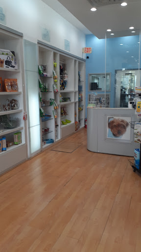 Pet Store «South Beach Pet Shop», reviews and photos, 634 6th St, Miami Beach, FL 33139, USA