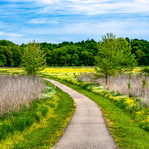 Lowland Plain Trailhead