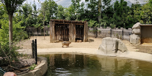 Parc zoologique de Paris à Paris