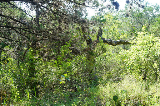 Non-Profit Organization «Westcave Outdoor Discovery Center», reviews and photos, 24814 Hamilton Pool Rd, Round Mountain, TX 78663, USA