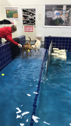 Pet Supply Store «Pet Depot Inc», reviews and photos, 2151 Greenspring Dr, Lutherville-Timonium, MD 21093, USA