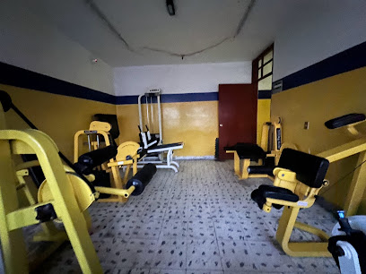 Colossus Gym - Melchor Ocampo 627, Zona Centro, 38900 Salvatierra, Gto., Mexico