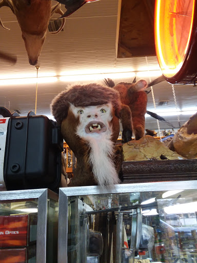 Gun Shop «AAA Gun & Pawn Shop», reviews and photos, 1849 S Woodland Blvd, DeLand, FL 32720, USA