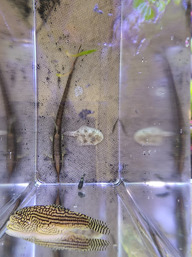 Pet Store «Aqua World Pet Super Center», reviews and photos, 8143 Ohio River Blvd, Pittsburgh, PA 15202, USA