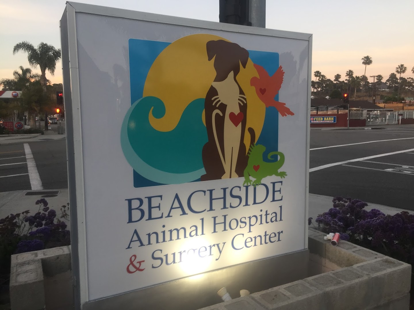 Beachside Animal Hospital