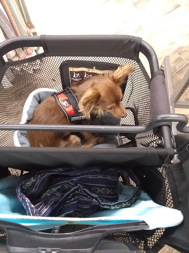 Department Store «Stein Mart», reviews and photos, 1122 S Rochester Rd, Rochester Hills, MI 48307, USA