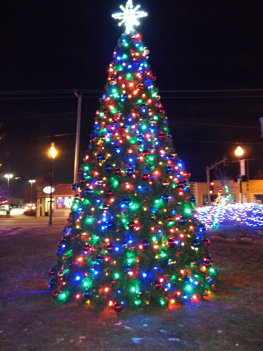 Grocery Store «KD Market», reviews and photos, 9500 Irving Park Rd, Schiller Park, IL 60176, USA