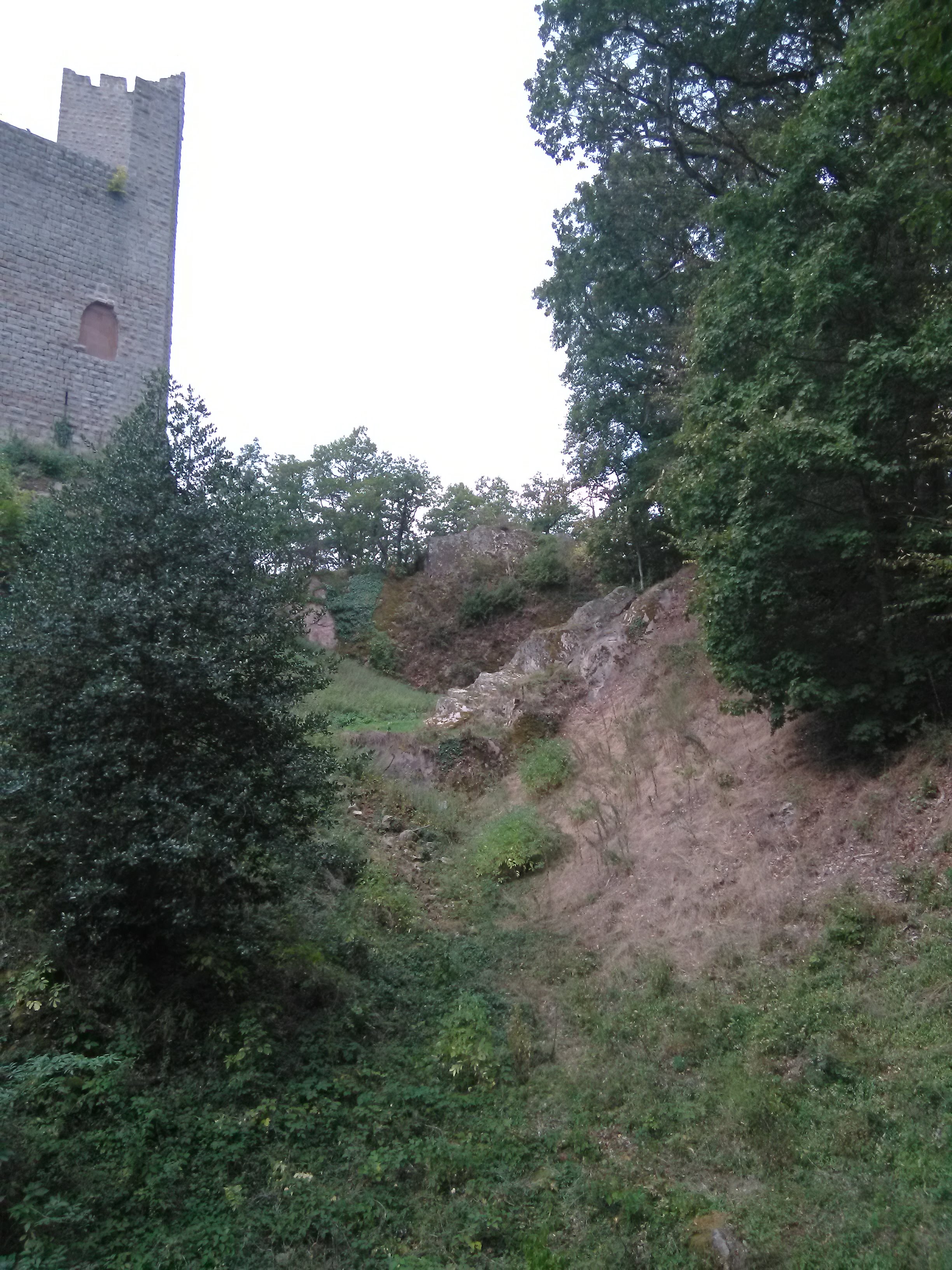 Photo n° 4 de l'avis de Dmitriy.i fait le 27/09/2019 à 10:07