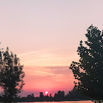 Photo n°4 de l'avis de miroslaw.z fait le 04/07/2021 à 14:11 sur le  Zanzara à Mantua