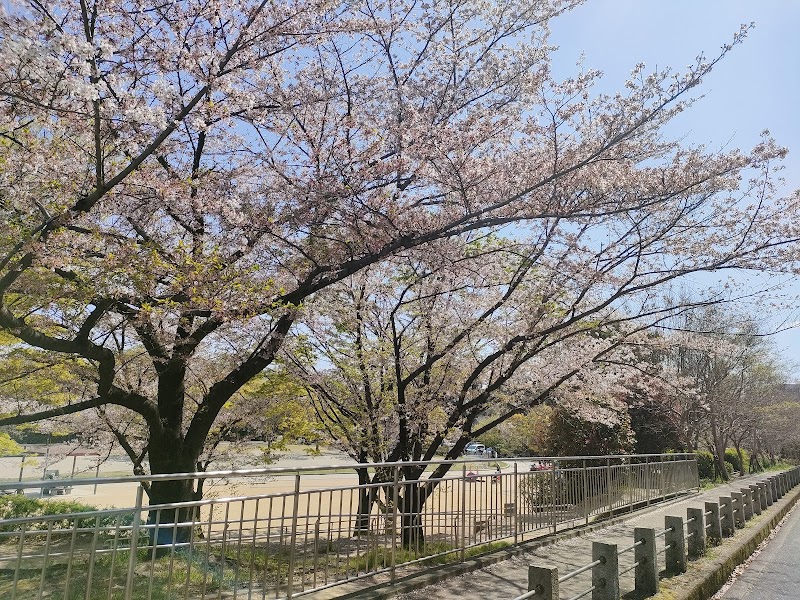 紫金山公園(北)