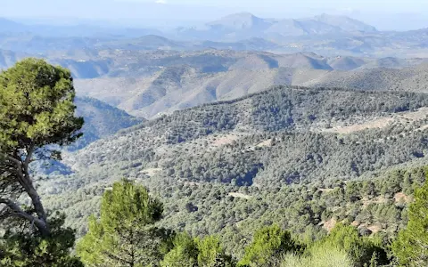 Montes de Málaga Natural Park image