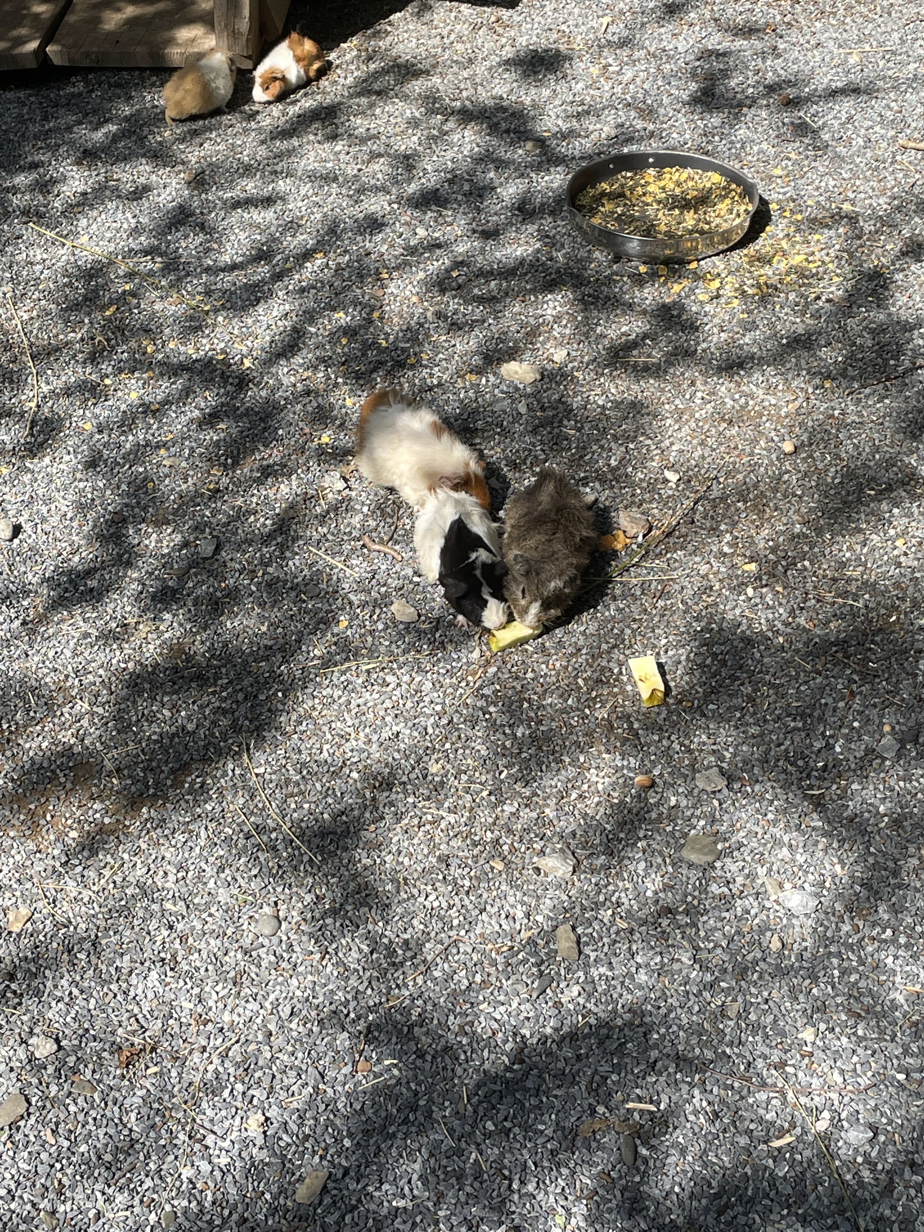 Photo n° 9 de l'avis de La.i fait le 25/08/2022 à 14:34