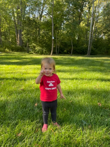 Insurance Agency «Tom Pelham - State Farm Insurance Agent», reviews and photos