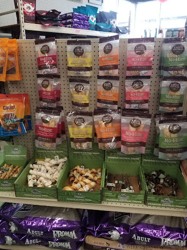 Pet Supply Store «Animal Krackers Inc», reviews and photos, 232 Main St, Gloucester, MA 01930, USA