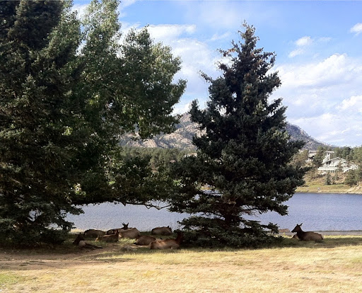 Golf Course «Estes Park Golf Course», reviews and photos, 1480 Golf Course Rd, Estes Park, CO 80517, USA