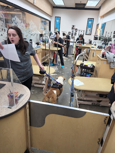 Shopping Mall «Hamilton Marketplace», reviews and photos, 130 Marketplace Blvd, Hamilton Township, NJ 08691, USA