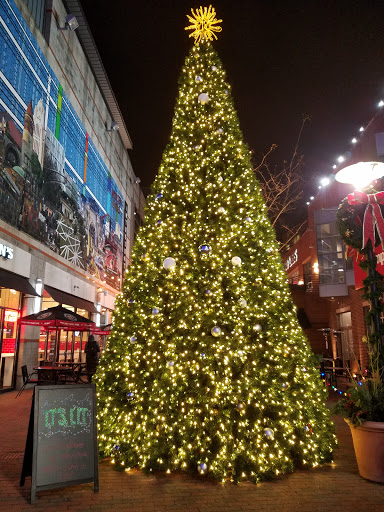 Movie Theater «Gateway Film Center», reviews and photos, 1550 N High St, Columbus, OH 43201, USA