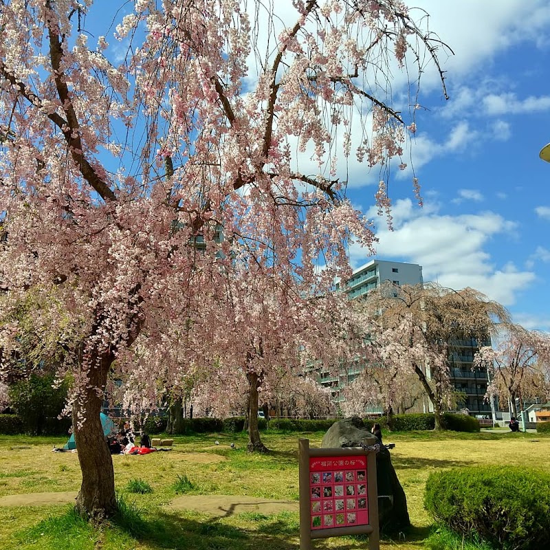 榴岡「八重紅枝垂れ桜」の碑