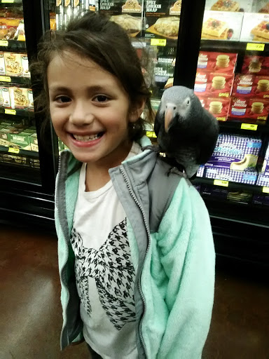 Grocery Store «Grocery Outlet Bargain Market», reviews and photos, 355 N Citrus Ave, Azusa, CA 91702, USA