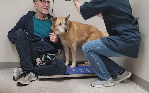 Park Range Veterinary Services image