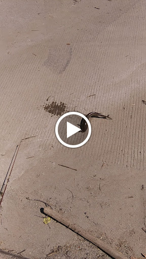 Dollar Store «FAMILY DOLLAR», reviews and photos, 725 E 2nd St, Muscatine, IA 52761, USA