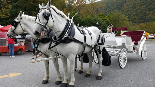 Winery «Big Creek Vineyard», reviews and photos, 41 Susquehanna St, Jim Thorpe, PA 18229, USA