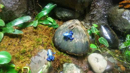 American Restaurant «Hard Rock Cafe», reviews and photos, 601 E Pratt St, Baltimore, MD 21202, USA