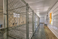 Pine Lake Dog Boarding, LLC. - Photo 3 - Car repair in Morton, IL, Peoria