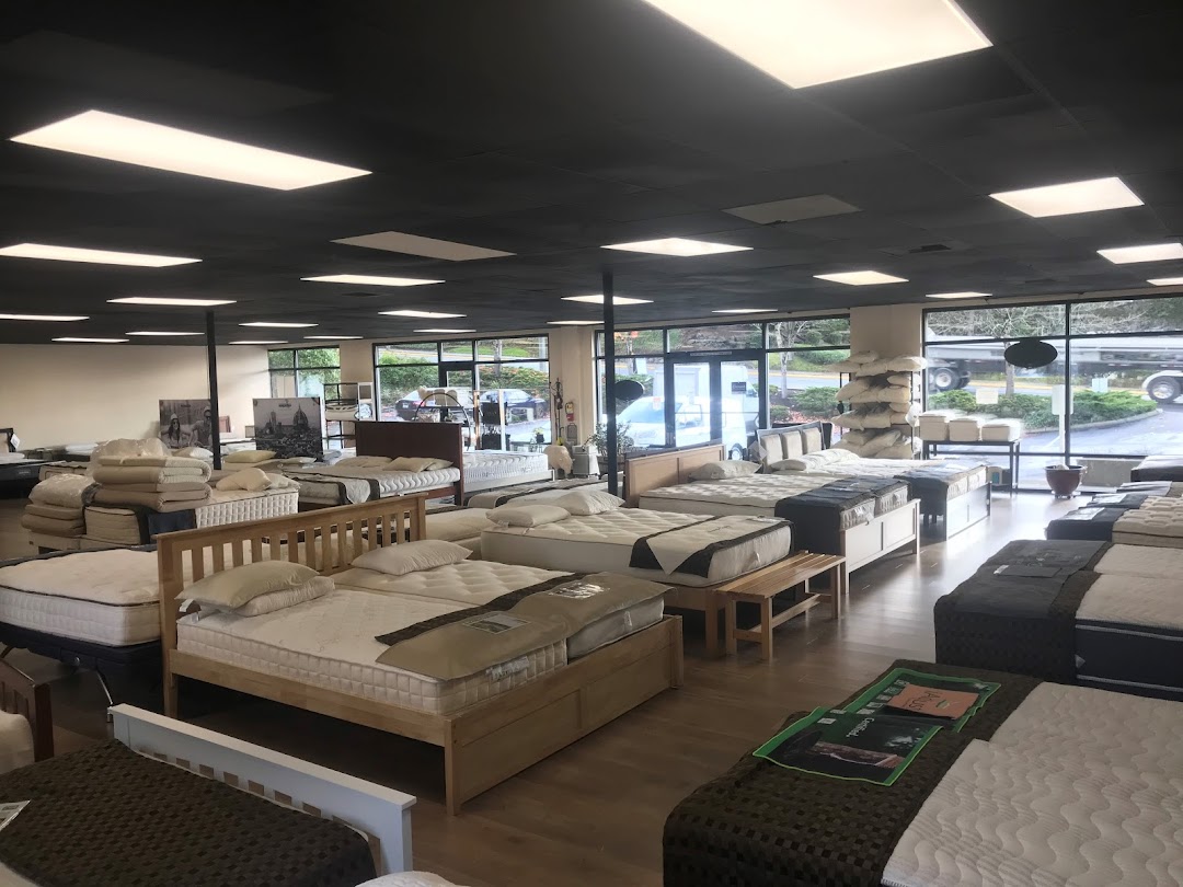 The Sleep Store