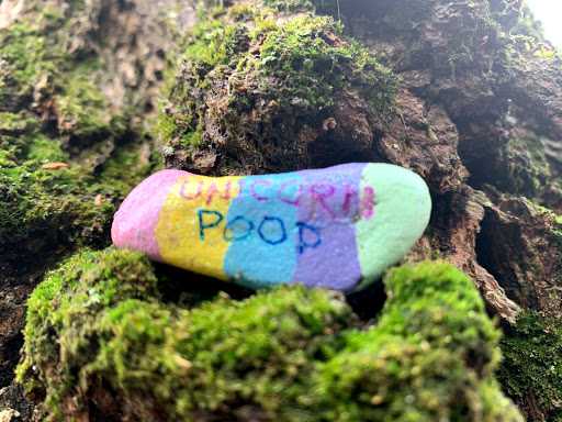 Park «Lykens Glen Park», reviews and photos, 706 Park View Rd, Lykens, PA 17048, USA