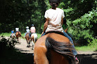 Best Pony Riding Places In Minneapolis Near You