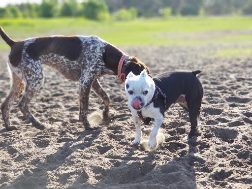 Dog Park «Bunker Hills Dog Park», reviews and photos, 1620 133rd Ave NW, Coon Rapids, MN 55448, USA