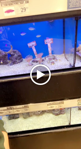 Pet Supply Store «Petco Animal Supplies», reviews and photos, 5239 Harvey St, Norton Shores, MI 49444, USA