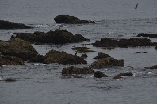 Park «Volunteer Park», reviews and photos, 1247 15th Ave E, Seattle, WA 98112, USA