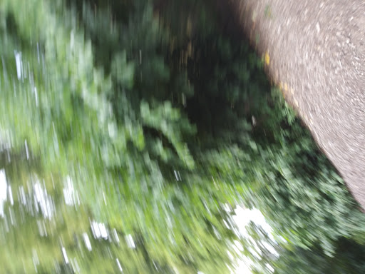 Art Museum «Smart Museum of Art, The University of Chicago», reviews and photos, 5550 S Greenwood Ave, Chicago, IL 60637, USA