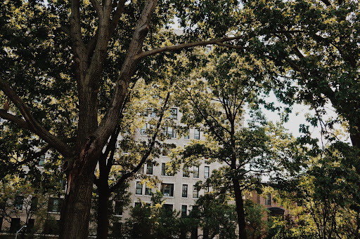 Historical Place «Morris-Jumel Mansion», reviews and photos, 65 Jumel Terrace, New York, NY 10032, USA