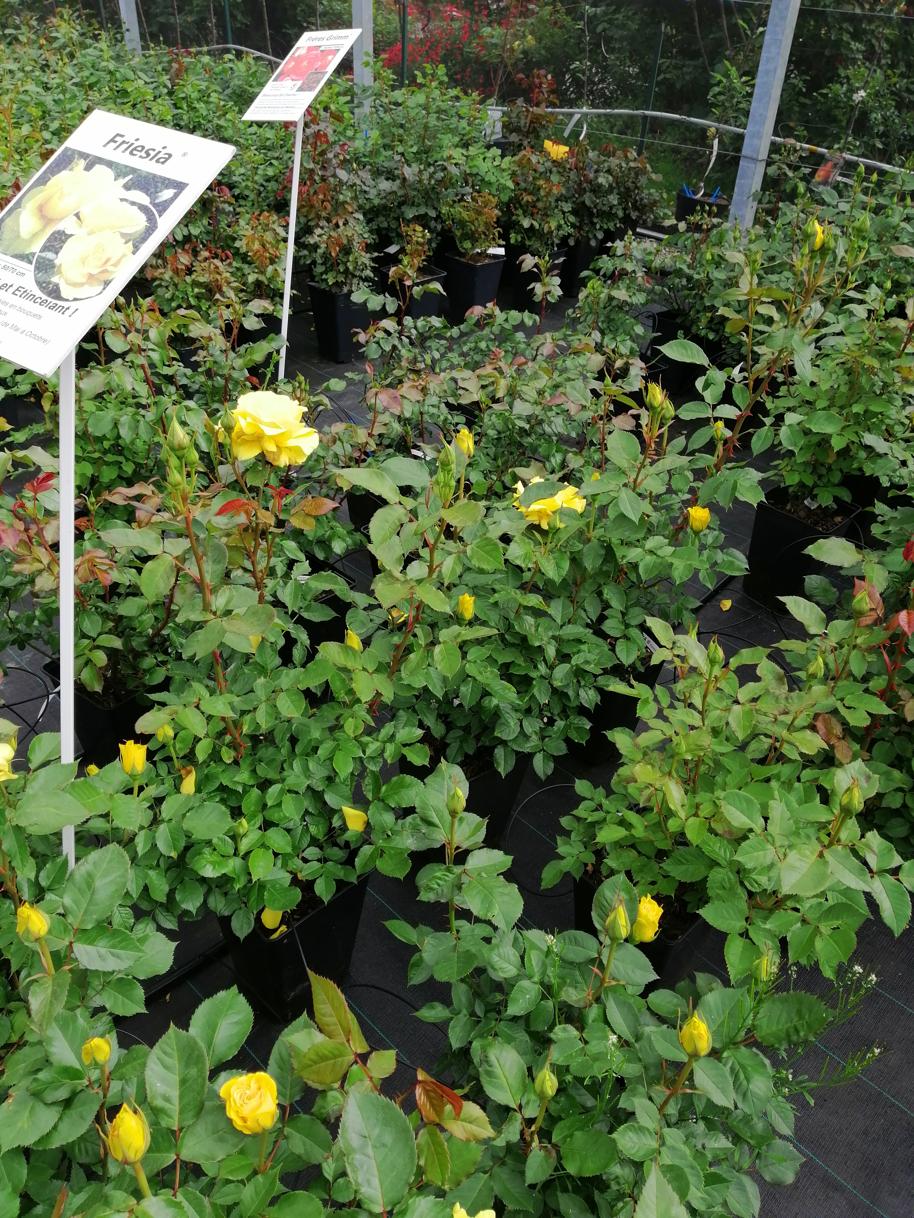 Photo n° 8 de l'avis de Isabel.r fait le 24/04/2019 à 16:53