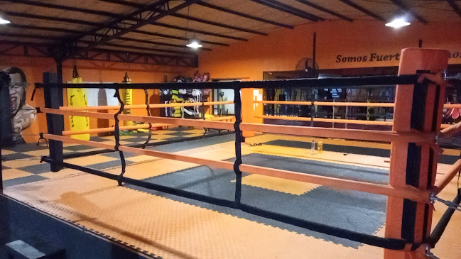 Academia de artes marciales y gym Tiger - Santa Cruz