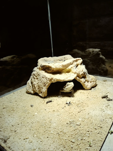 Pet Supply Store «Petco Animal Supplies», reviews and photos, 4450 Commercial St SE #150, Salem, OR 97301, USA