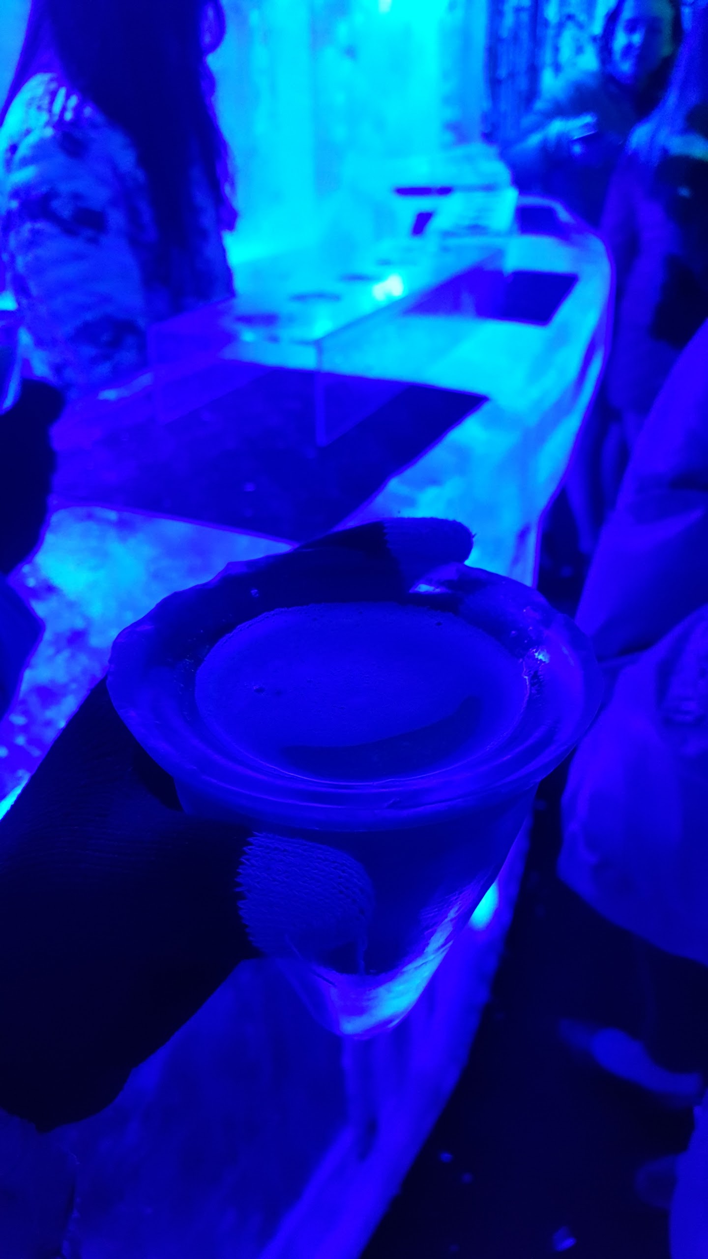 Photo n° 3 de l'avis de Sophie.. fait le 17/02/2017 à 21:46