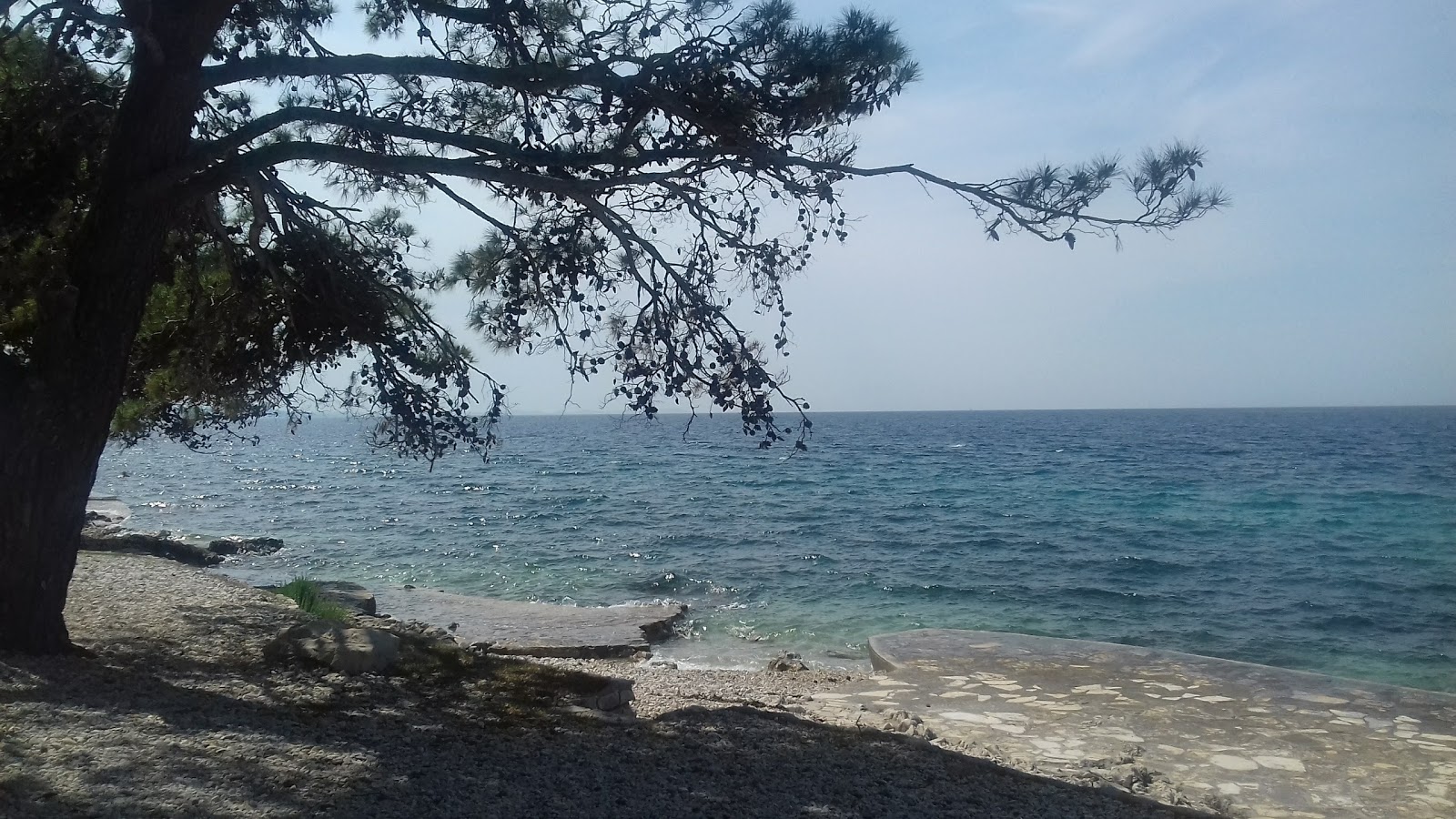 Foto de Donje Petrcane beach - lugar popular entre los conocedores del relax