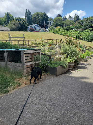 Park «Wallace City Park», reviews and photos, 1600 NW 25th Ave, Portland, OR 97210, USA