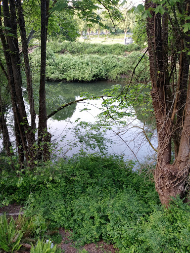 Park «Tukwila Park», reviews and photos, 15460 65th Ave S, Tukwila, WA 98188, USA