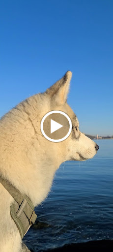 Park «Little Bay Park», reviews and photos, Cross Island Pkwy, Whitestone, NY 11357, USA