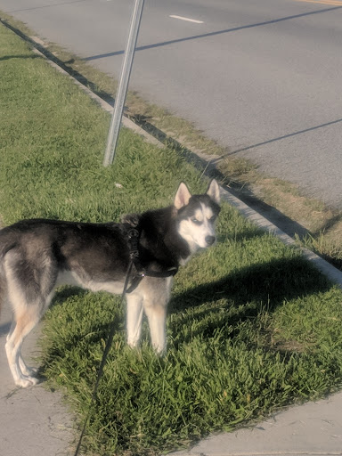 Pet Store «Muddy Paws Pet Center», reviews and photos, 11209 Tippett Rd, Clinton, MD 20735, USA