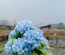 Rangsit Wooden Bridge photo