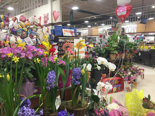 Grocery Store «Farm Fresh», reviews and photos, 227 Fox Hill Rd, Hampton, VA 23669, USA