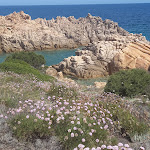 Photo n°5 de l'avis de GIANLU.A fait le 08/06/2023 à 10:15 sur le  Calarossa Village à Trinità D’Agultu e Vignola