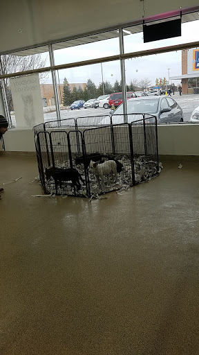 Pet Supply Store «Pet Supplies Plus», reviews and photos, 180 N Randall Rd, North Aurora, IL 60542, USA